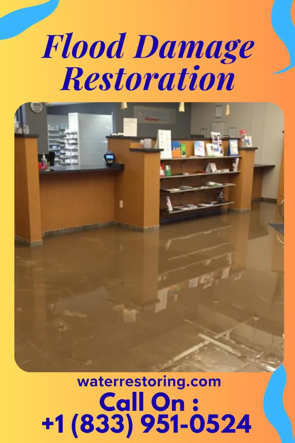 Flood Damage Restoration in Larchmont, NY