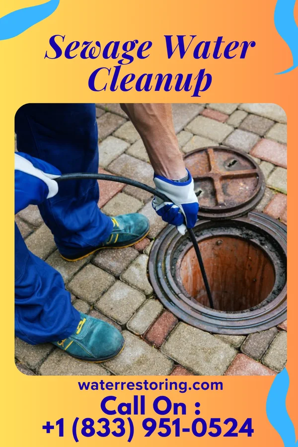 Sewage Water Cleanup in Larchmont, NY